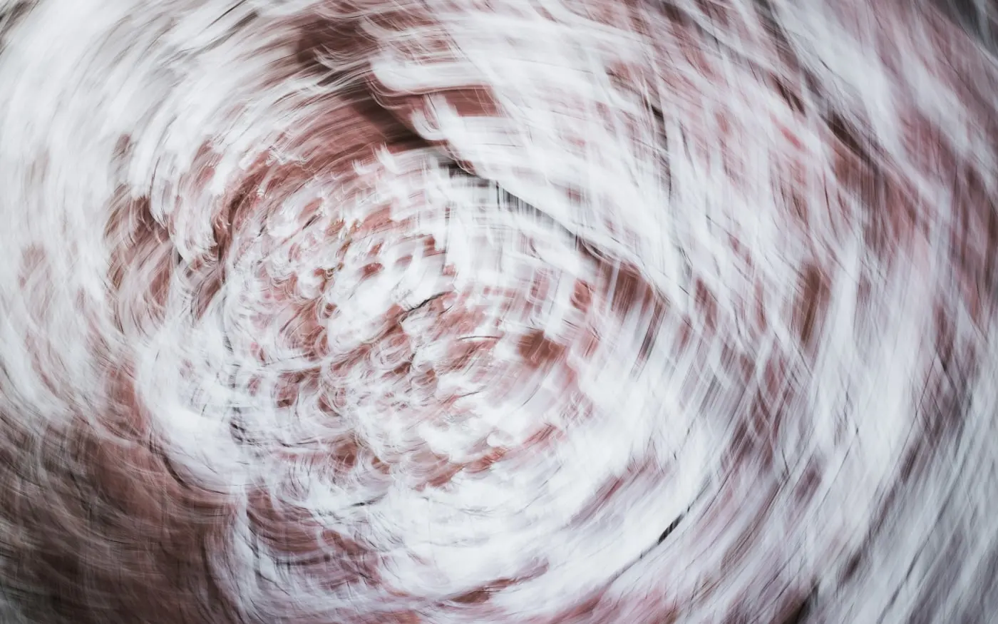 Aperçu du site démo Forge Training Club pour une salle de sport et coaching