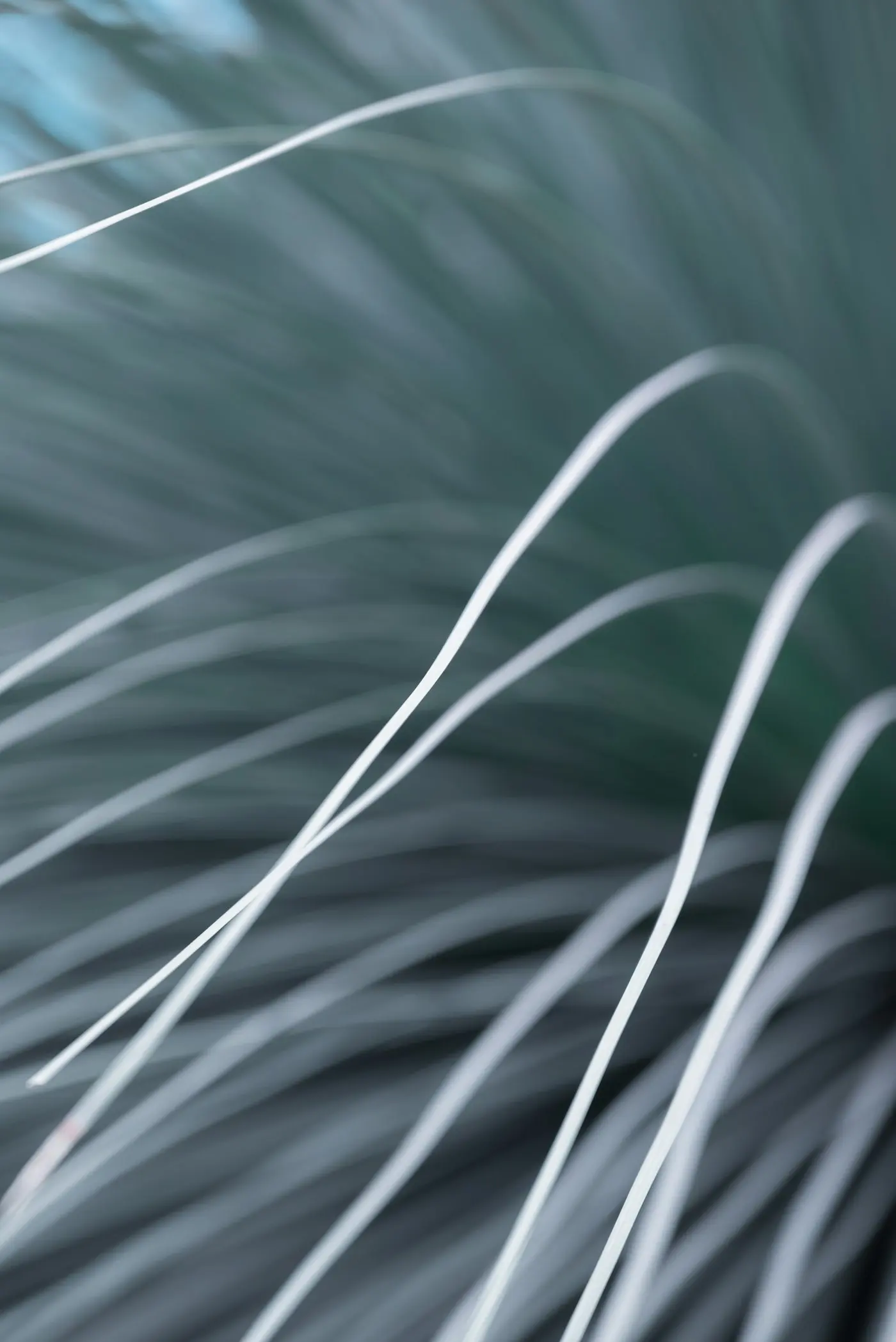 Hammam en bois clair dans un espace bien-etre